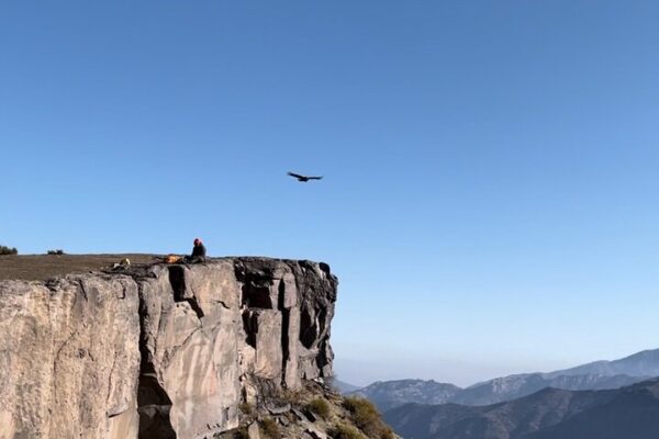 Experiencia Mirador de Condores
